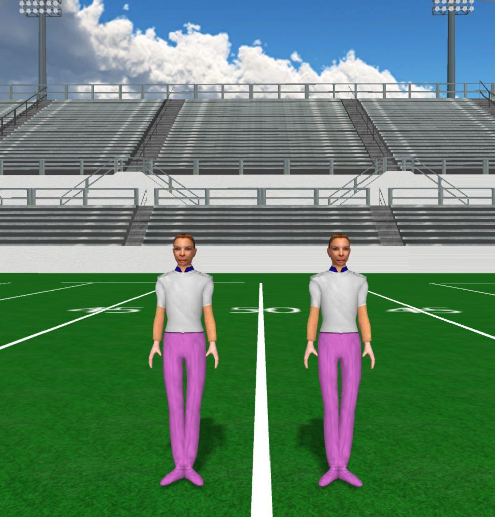 Pink and Gray Guard Auburn Diffuse Guard 979x1024