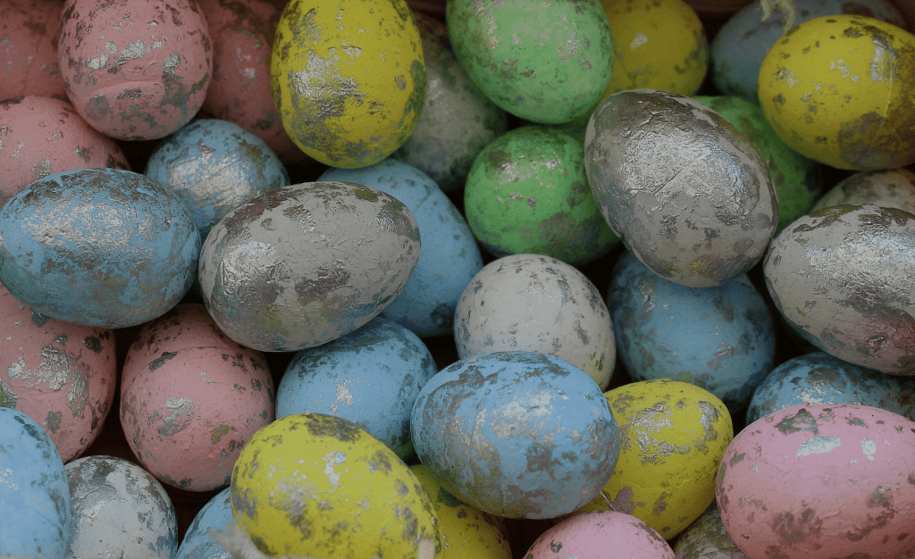 eggs
